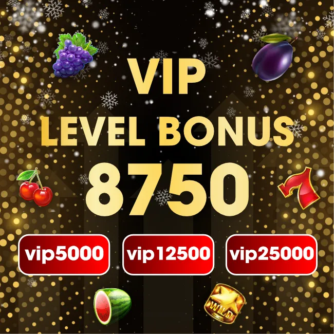 Adventní VIP kalendář - bonus 16.12.2024