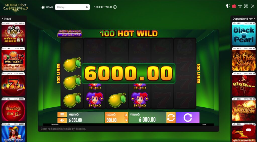 Výhra 6 000 Kč v online automatu 100 Hot Wild od Tech4Bet se symboly Expand